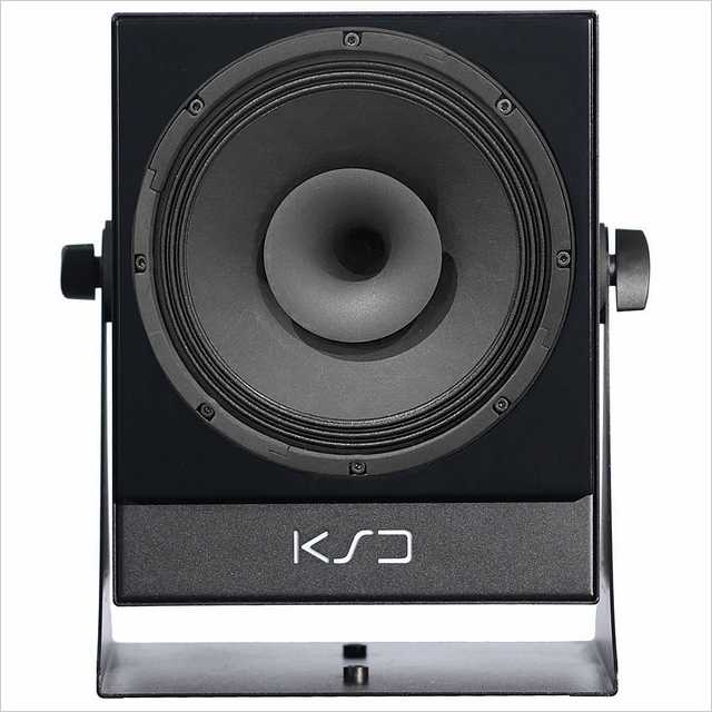 KS Digital C100 L Black Aktiv-Monitor