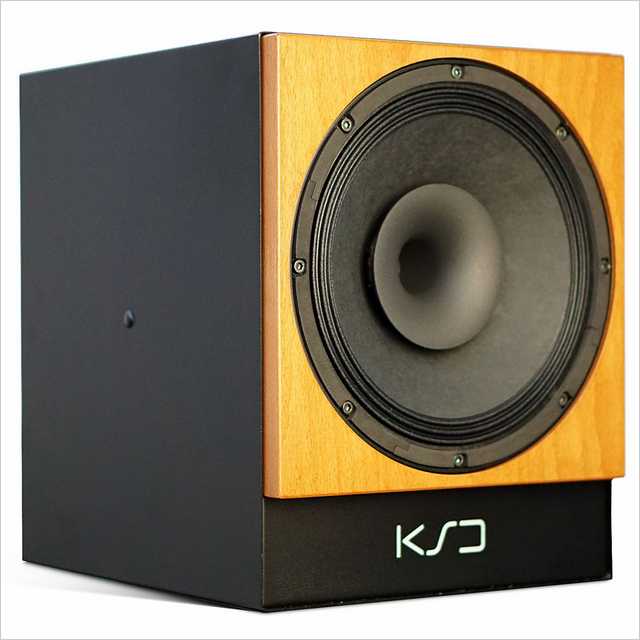 KS Digital C100 R Cherry Aktiv-Monitor KS Digital C100 R Cherry Aktiv-Monitor